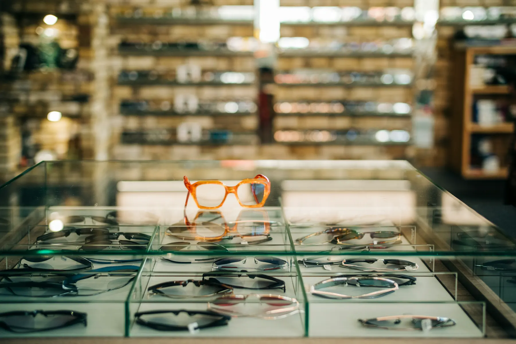 Vitrină de magazin optic cu rame expuse pe rafturi de sticlă luminate cald